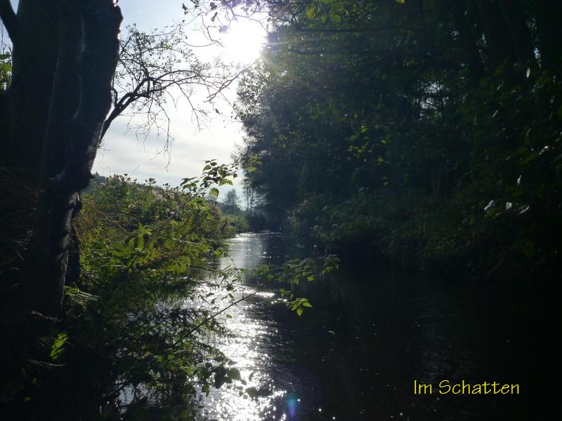 Schatten